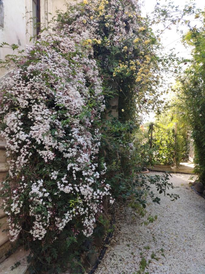 Maison D'Hotes Coeur D'Herault - Gite Et Chambres D'Hotes - Spa & Massages Péret Exterior foto
